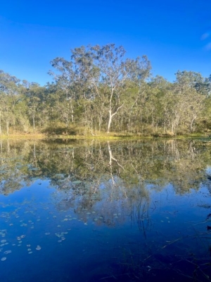 24-06-14_BILLABONG REFLECTION